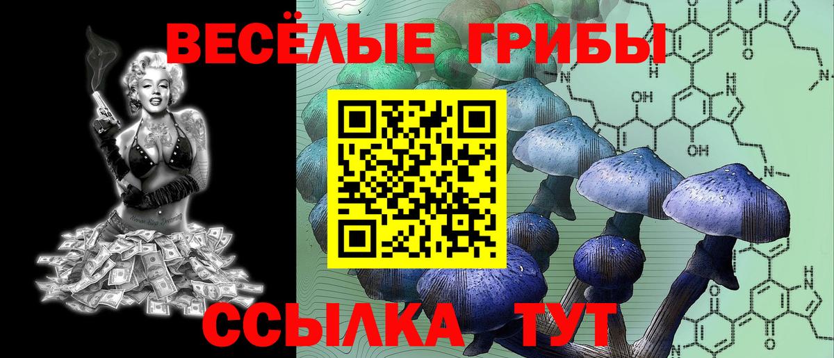 Псилоцибиновые грибы MAGIC MUSHROOMS Стрежевой