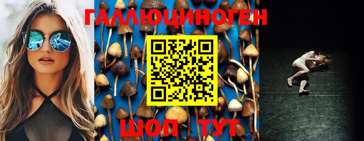 Стрежевой  Псилоцибиновые грибы Magic Shrooms  Вход с VPN 